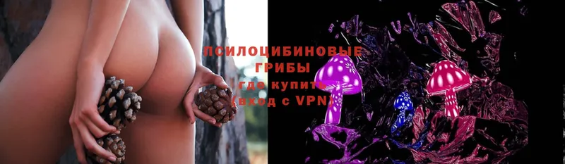 Псилоцибиновые грибы Psilocybe  Ревда 